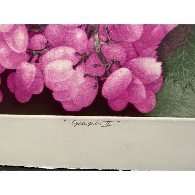 Impressionist G H Rothe Grapes II Art Original Mezzotint Etching, Mint Condition For Sale - Image 3 of 7