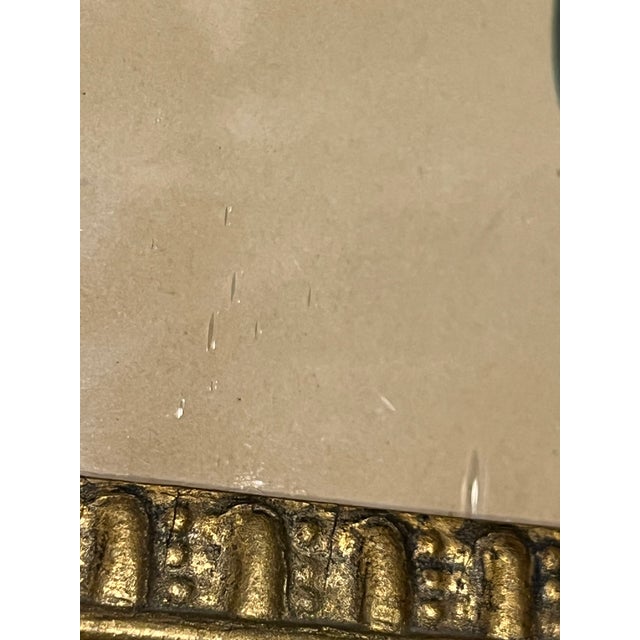 Early 20th Century Framed J. Gould Bird Prints in Ornate Gilt Frames - a Pair For Sale - Image 15 of 18