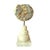 Contemporary Ammonite Fossil Sculpture on Wooden Stand, Organic Modern Design For Sale - Image 3 of 8