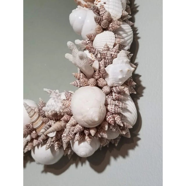 Handmade Natural Sea Shell Encrusted Wall Mirror For Sale - Image 9 of 11
