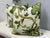 Design Plus Gallery presents a Pair of Hothouse Flowers Botanical Decorative Pillows by Celerie Kemble from Schumacher....