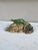 Rare Majolica Palissy Lizard signed Joseph Landais Circa 1860.
