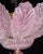 Ballarò Italian Pink Murano Glass Leaves Ceiling Light or Flush Mount, 1970s For Sale - Image 11 of 12
