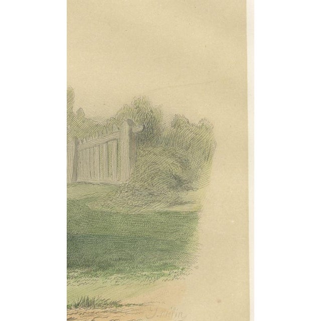 Geoffroy After Jadin, Charolais Cow, 1873, Paper For Sale - Image 6 of 12