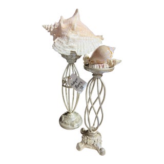 Celestial Meets the Sea Shell Topped Candleholders, a Pair For Sale