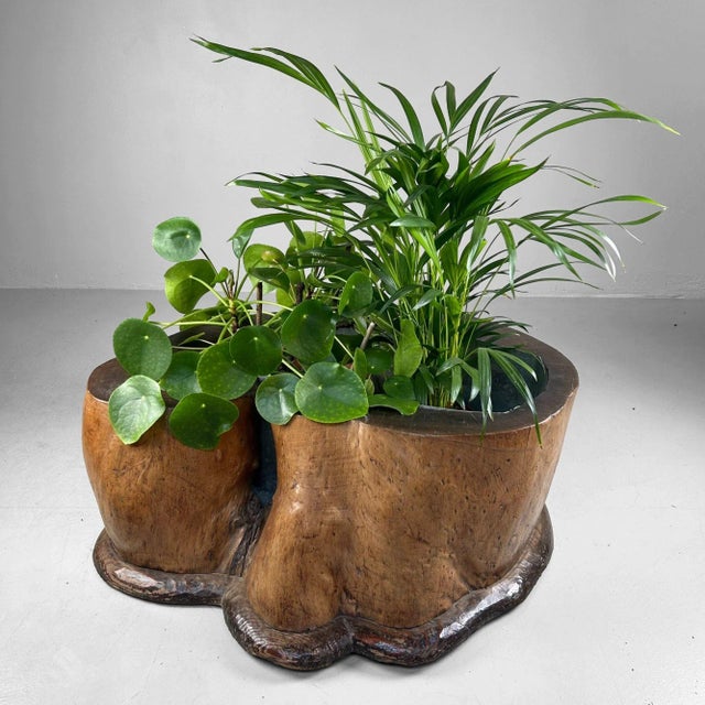 Antique Japanese Wooden Hibachi, 1890s For Sale - Image 13 of 18