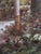 A large framed reproduction of The Conservatory by artist Haibin, depicting a lush glasshouse interior overflowing with...