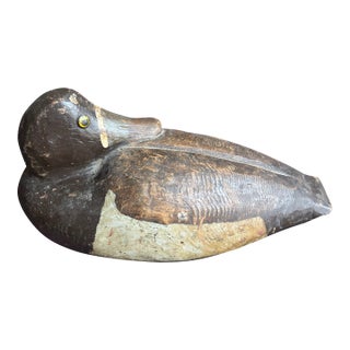 Vintage Sleeping Ring Neck Duck Decoy For Sale