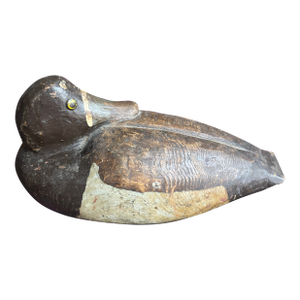 Vintage Sleeping Ring Neck Duck Decoy