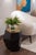 Three Rocks High Side Table in Black Lacquered and Top in Brushed Brass from Insidherland For Sale - Image 10 of 13