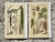 These exquisite vintage botanical engravings offer a timeless window into the natural world, featuring detailed...