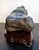 1930s Large Chinese Crouching Beast Gongshi For Sale - Image 5 of 14