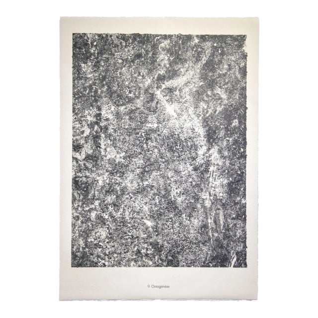 Jean Dubuffet - Ontogenese - Original Lithograph - 1959 For Sale