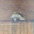 Wood Pottery Barn Rustic Sideboard For Sale - Image 7 of 12