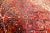 Persian Rug in Wool and Cotton, Ahar, 1980s For Sale - Image 4 of 7