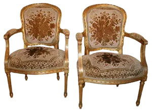 Set of French Armchairs, 1920s