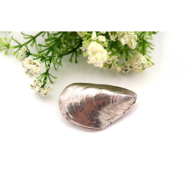 Silver Mussel-Shaped Pill Box For Sale - Image 6 of 6