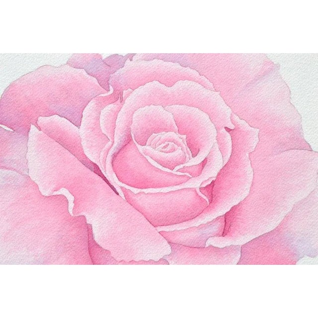 Vintage Pink Rose by Barbara Gibson For Sale In Monterey, CA - Image 6 of 6