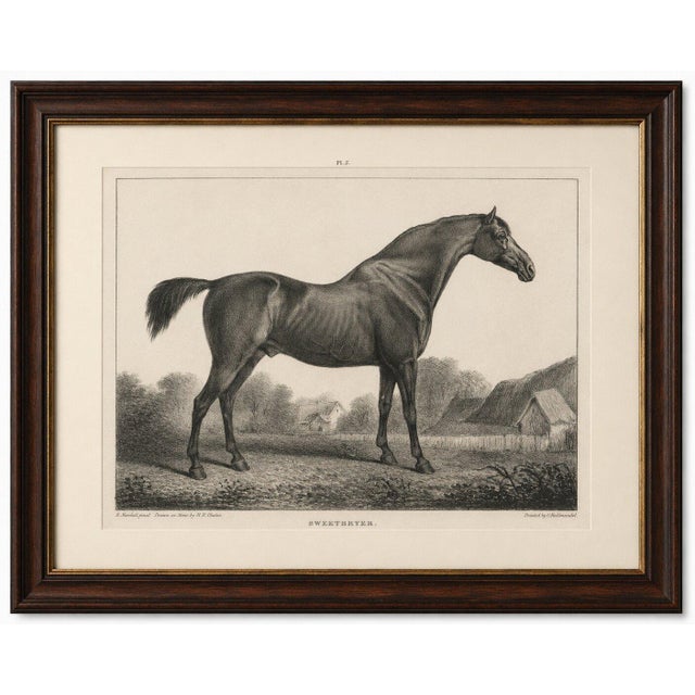After Chalon, Equestrian Illustrations, Lithographs, 1840, Set of 4 For Sale - Image 3 of 12