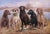 "Duck Masters" Jim Killen Print 2007 Labrador Retrievers Dog Hunting Ducks Signed Great hunting print. Signed Killen @07....