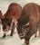 Original Oil Landscape Painting on Canvas of Winter of 3 Buffalo in snow.Titled “ Yellowstone Winter” by the Artist, Paul Nemiroff. For Sale - Image 10 of 12