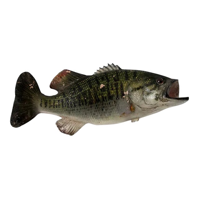 Vintage Bass Fish Wall Mount For Sale
