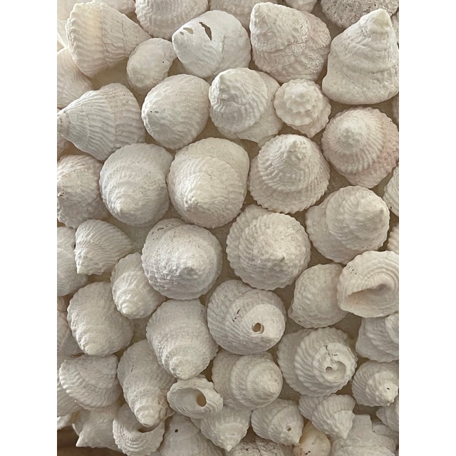 Coastal Spec Large 10” Sea Shell Globe Costal Decor For Sale - Image 3 of 5