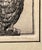 Contemporary Rare! Circa 1960s Carolyn Millard Limited Edition 42/200 Owl Etching Signed For Sale - Image 3 of 7