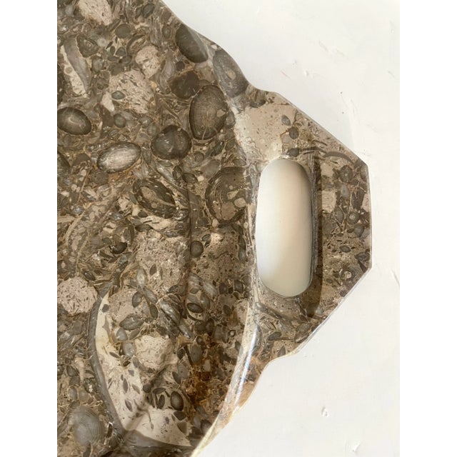 Contemporary Mid 20th Century Natural Fossilized Stone Serving Display Tray For Sale - Image 3 of 7