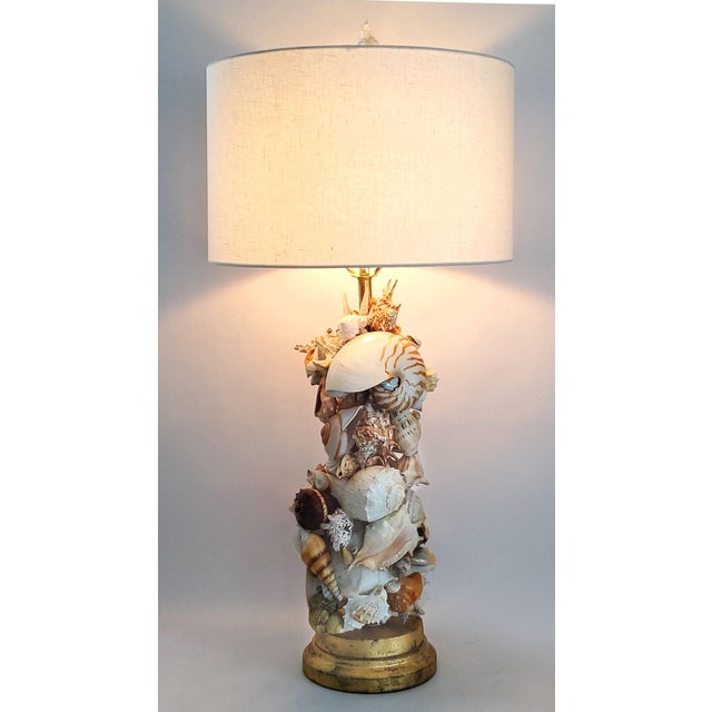 Lamp Seashells Shells Extra-Large Size - Restored For Sale - Image 13 of 17