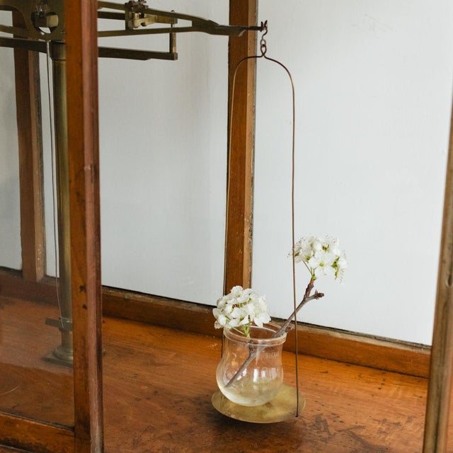 Mid-Century Modern Antique French Pharmacy Scale in Original Glass Display Case | Burgundy, France For Sale - Image 3 of 8