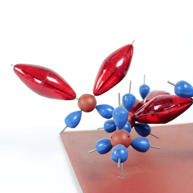 Mid-Century Modern Plastic School Model of Diamant, Czechoslovakia, 1960s For Sale - Image 3 of 7