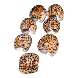 Vintage Nautical Sea Life Table Decor Seven Tiger Cowrie Shell Napkin Rings
