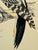 Plastic Antique Hand Tinted Bird Print From England Featuring a Black & Red Hairy Woodpecker - Circa 1880 For Sale - Image 7 of 11