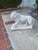 1930 Limestones Lion Statue - Set of 2 For Sale - Image 4 of 12