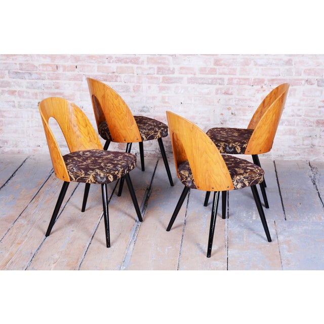 Mid-Century Chairs in Beech & Oak, Slovakia, 1959, Set of 4 For Sale - Image 9 of 12