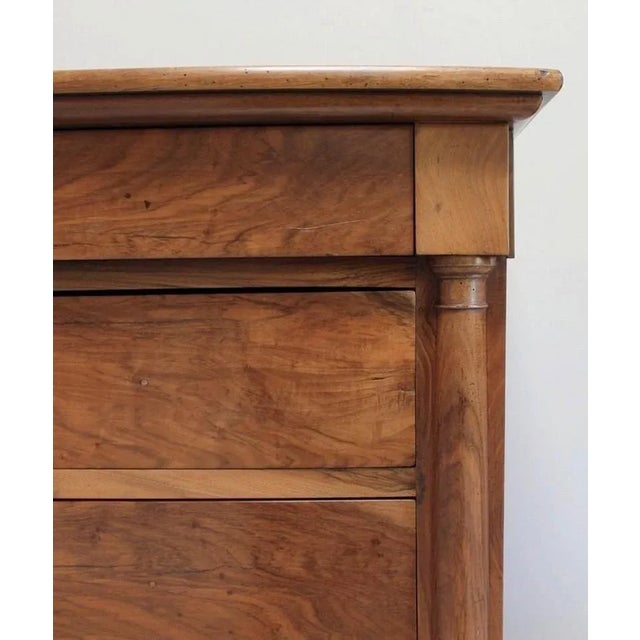 Small Solid Walnut Chest of Drawers, 1800s For Sale - Image 11 of 18