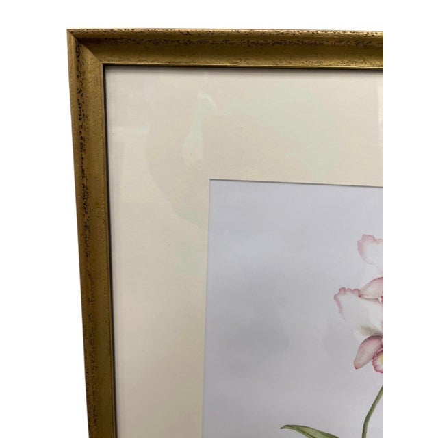 Vintage Framed Botanical Pink Orchid Print in Chinoiserie Cachepot For Sale In West Palm - Image 6 of 12