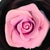 Vintage Japanese Lacquerware Round Trinket Box With Porcelain Rose Accent For Sale - Image 12 of 17