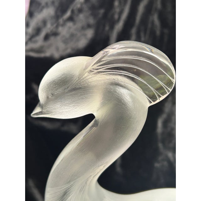 1970s Pristine Lalique Louisiane Peacock/Crane 1970's Retired Crystal Sculpture For Sale - Image 5 of 12