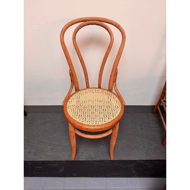 Mid-Century Modern Bentwood Chair Hand Caned With Advanced Weave, Daisy and Button For Sale - Image 3 of 13