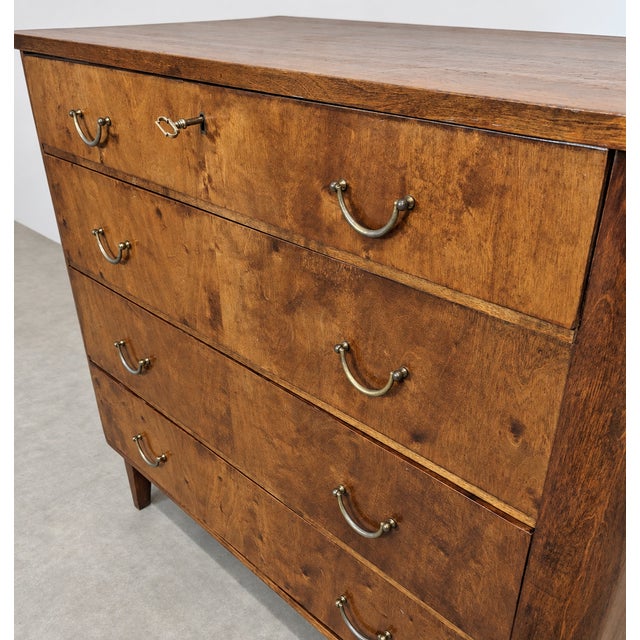 1960s Belgian Walnut Burl Chest of Drawers from Imexcotra, 1960s For Sale - Image 5 of 11