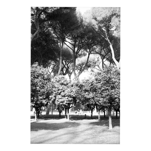 Paul Cooklin, Rome Italy 00107, Edition of 50 For Sale