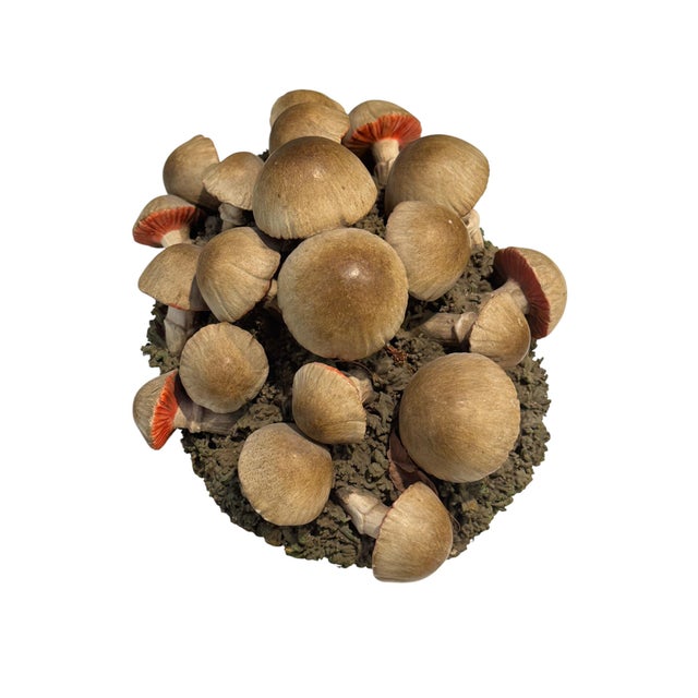 Vintage Italian Tromp l'Oeil Hand-Painted Woven Ceramic Basket of Mushrooms For Sale - Image 6 of 17