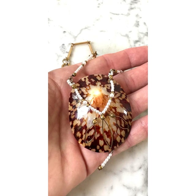 This necklace is made with a polished brown limpet shell, used as a focal point, with pearls and a gold plate chain.