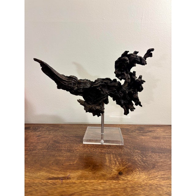 Brown Vintage Natural Burl Wood Abstract Dragon Sculpture on Lucite Base, Coastal Modern For Sale - Image 8 of 9