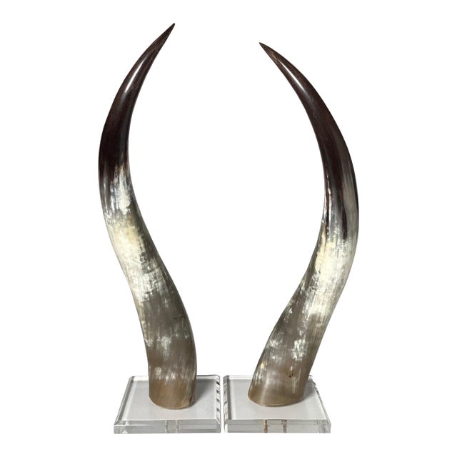 Natural Steer Horns on Lucite Bases - A Pair For Sale
