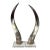 Natural Steer Horns on Lucite Bases - A Pair For Sale
