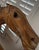 Late 19th-Century American Carved Wood Carousel Horse on Cast Iron Stand For Sale In Los Angeles - Image 6 of 9