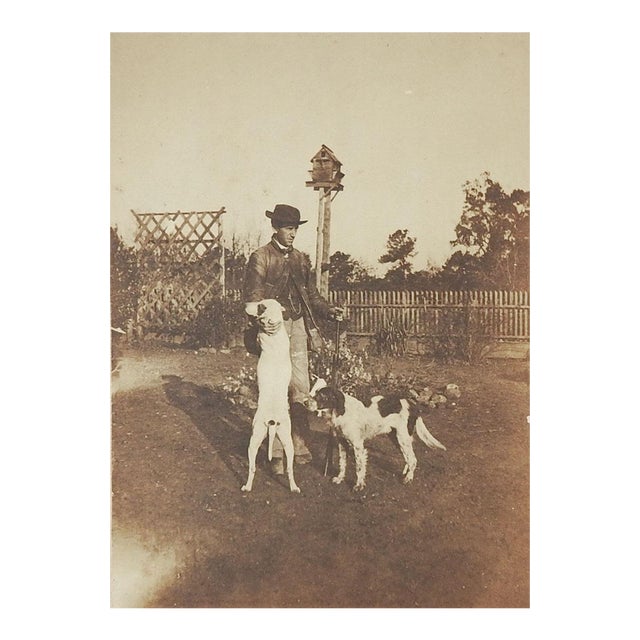 Vintage Antique Albumen Photograph Man Hunting Bird Dogs Dovecote For Sale